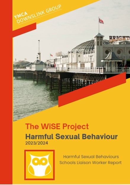 YMCA WiSE Harmful Sexual Behaviour Report 23-24